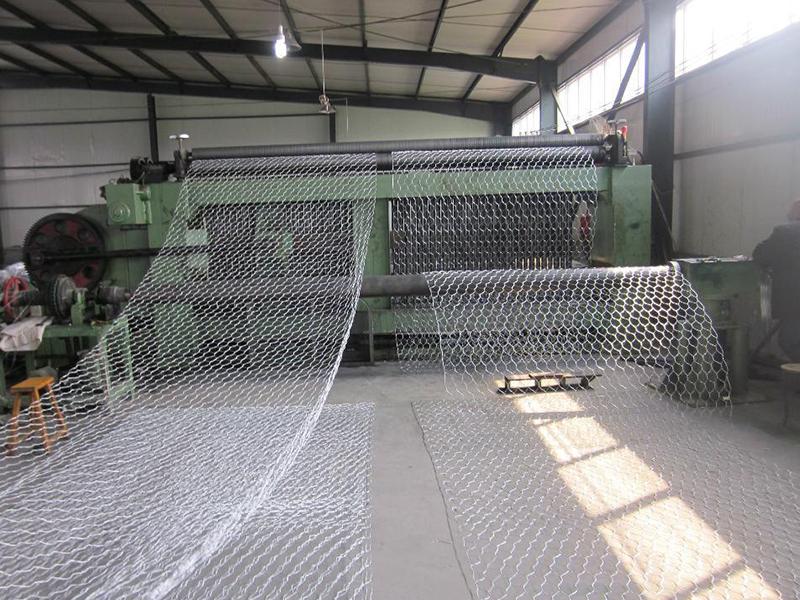 �������ǾW(w��ng)