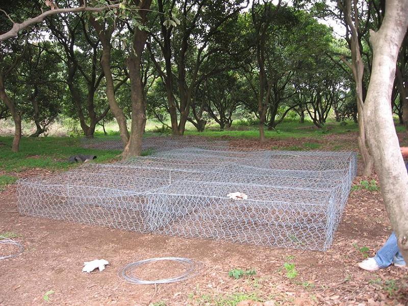 �p�������Z�o(h��)�|